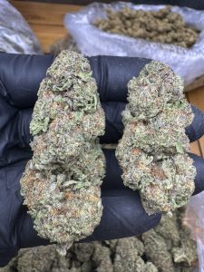 cookies n cream strain