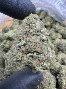 cookies n cream strain