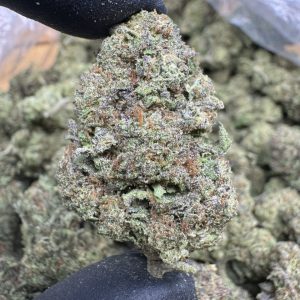 cookies n cream strain