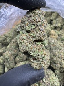 cookies n cream strain