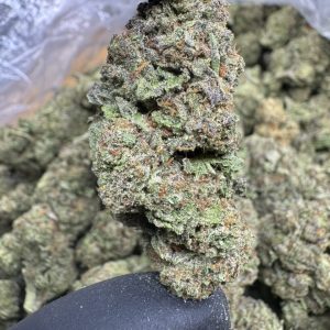 cookies n cream strain