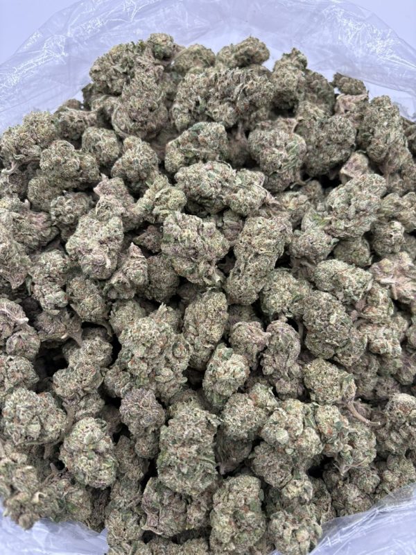 purple octane jealousy strain