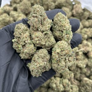 purple octane jealousy strain