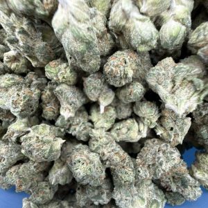 grown rogue strain