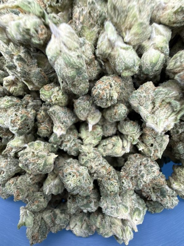 grown rogue strain