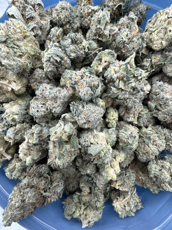 grown rogue strain