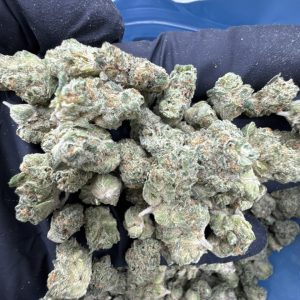 grown rogue strain