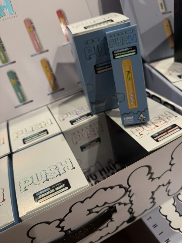 push disposable 2 gram