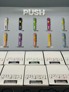 2g push disposable