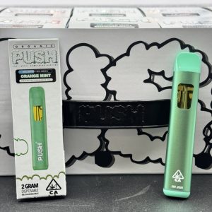 push disposable 2 gram