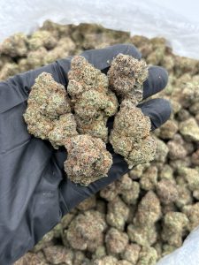 martian candy strain