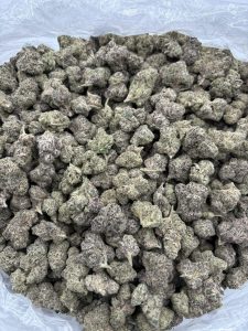 candy runtz strain