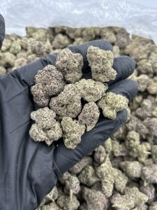 candy runtz strain