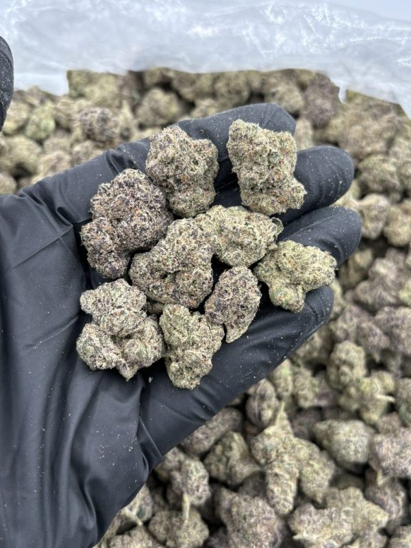 candy runtz strain