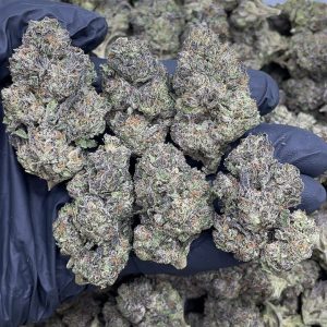 strawberry cheesecake strain