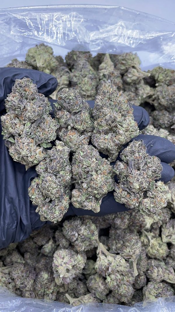 strawberry cheesecake strain