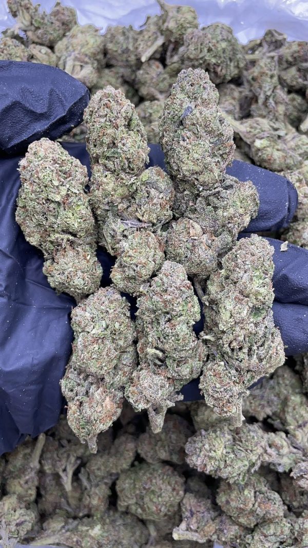 candy paint strain