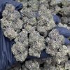 cherry zoda strain
