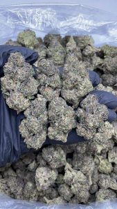 cherry zoda strain