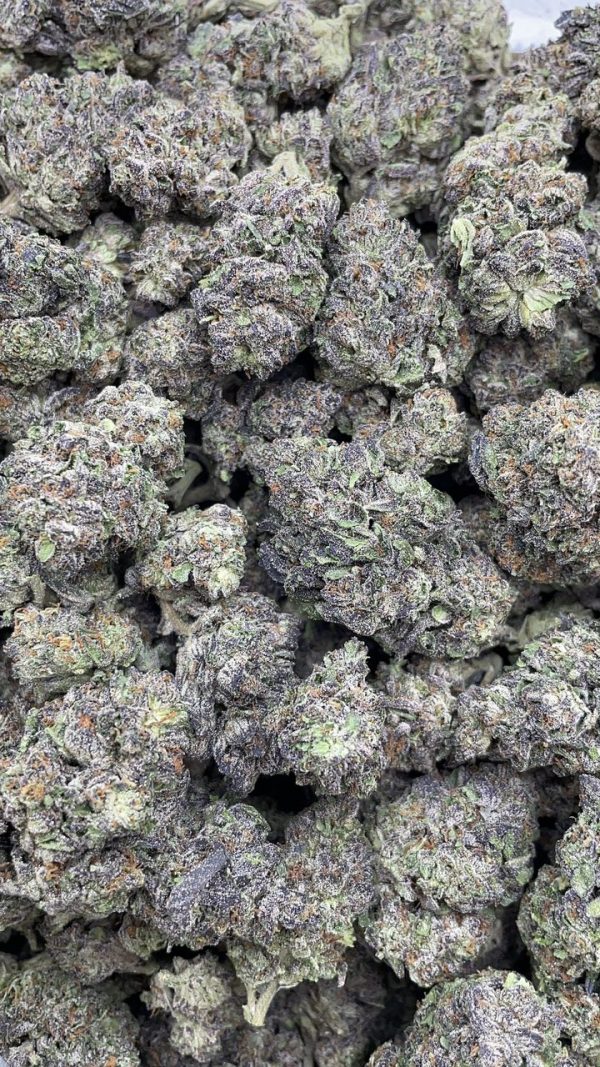 mochilato strain