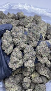 mochilato strain