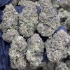 blueberry faygo strain