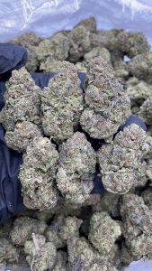 blueberry faygo strain