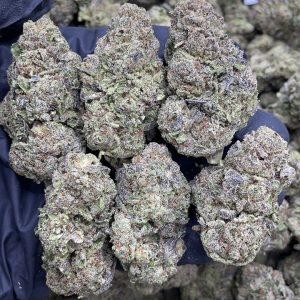 blueberry faygo strain