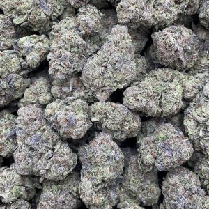 blueberry faygo strain