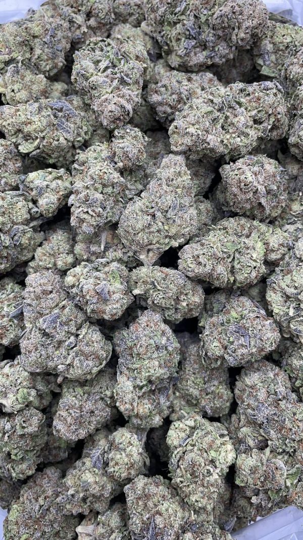 blueberry faygo strain