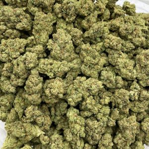 king louis strain