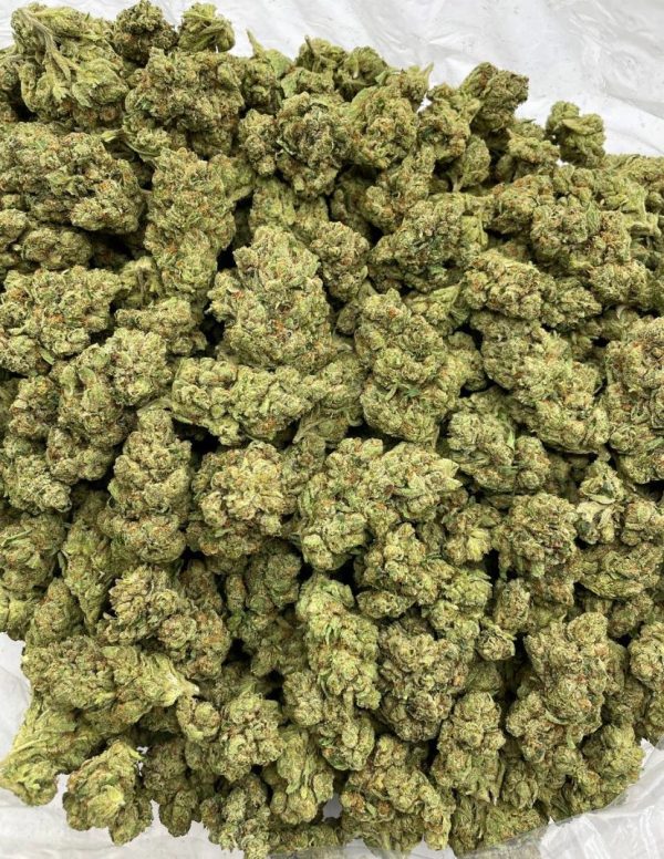 king louis strain