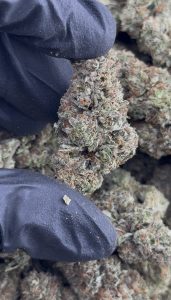 mendo breath strain
