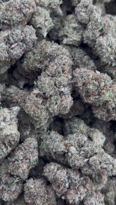 mendo breath strain