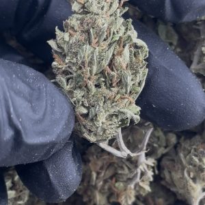 super lemon haze strain