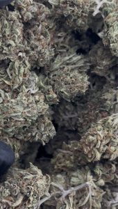 super lemon haze strain