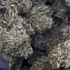 super lemon haze strain