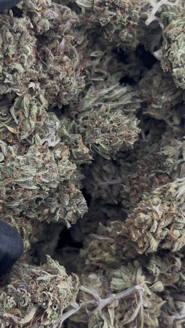 super lemon haze strain