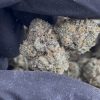 monster cookies strain