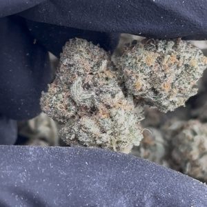monster cookies strain