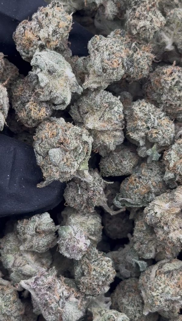 monster cookies strain