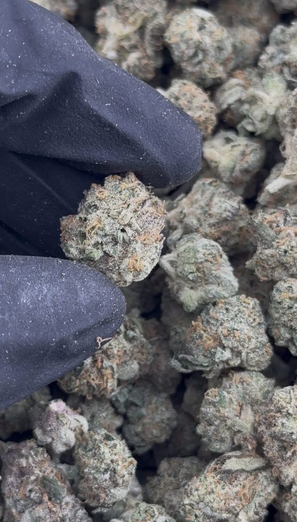monster cookies strain
