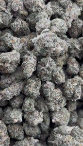 blockberry strain