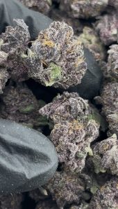 cherry gas strain