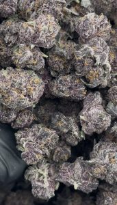 cherry gas strain