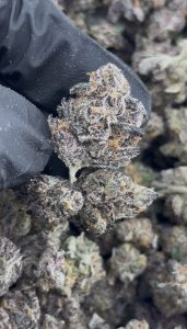super boof strain