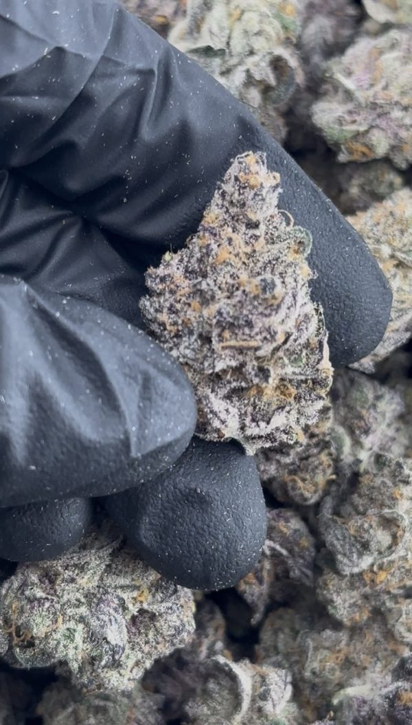 super boof strain