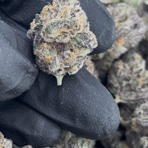 super boof strain