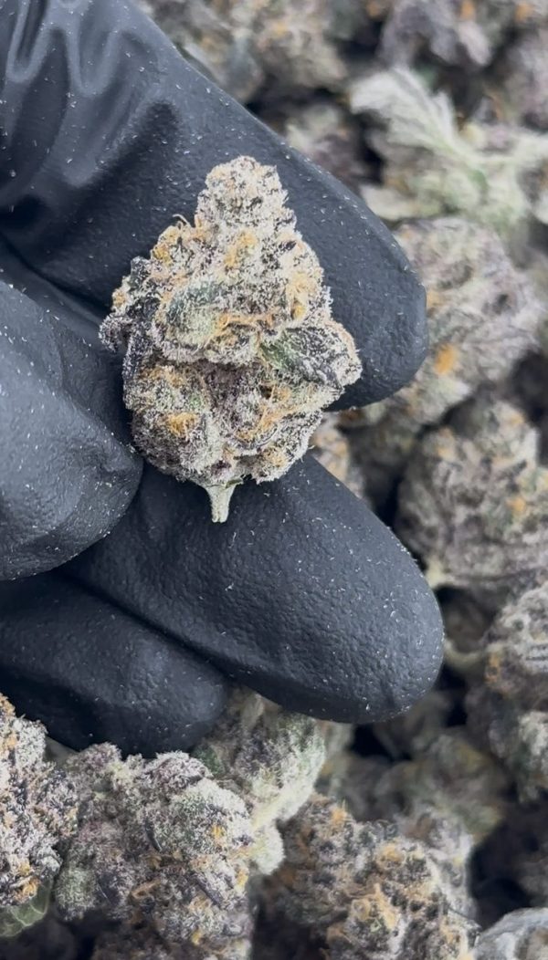 super boof strain