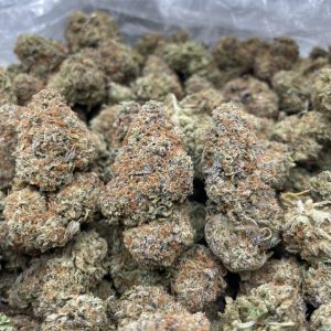 cherry gushers strain
